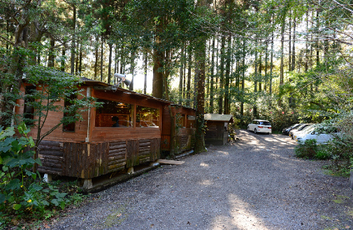 杉木立ちの中、自然豊かな場所です。