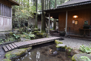 店内、庭先の様子