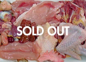 名古屋コーチン１羽 部位分け 【SOLD OUT】