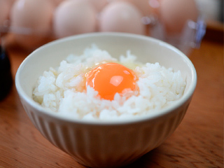 飛来幸地鶏画像その2